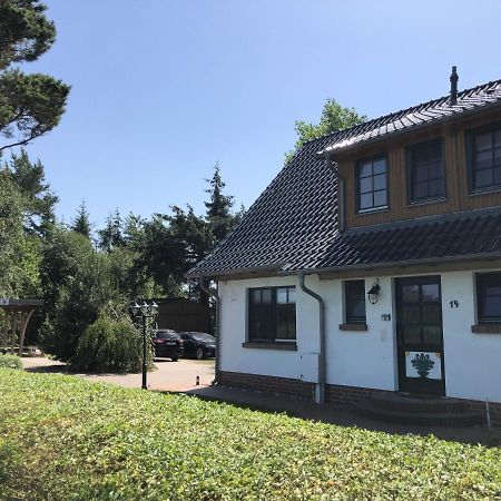 Haus Hugo Zingstアパートメント エクステリア 写真